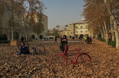 Artistic Fall-Leaf Art Event in Tehran