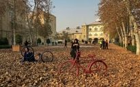 Artistic Fall-Leaf Art Event in Tehran