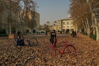 Artistic Fall-Leaf Art Event in Tehran