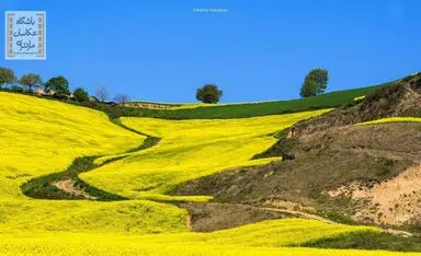 آثار منتخب «باشگاه عکاسان مازندران»