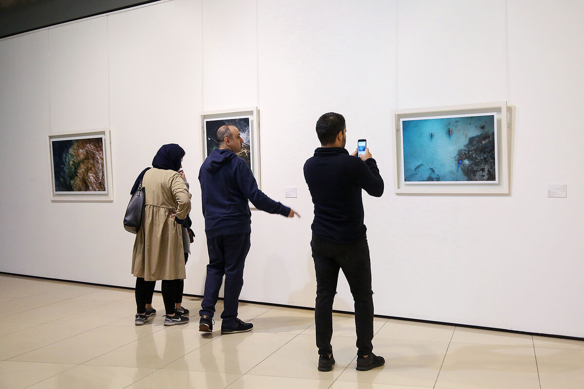 نمایشگاه عکس رضا باقری در پردیس ملت