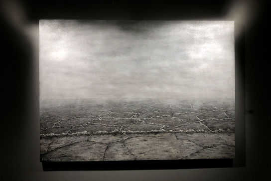 نمایشگاه آثار بهار دیدگاه در گالری ایده 