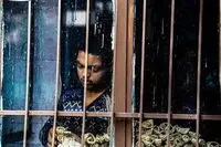 Iran’s ‘Homework’, inspired by Kiarostami’s masterpiece, to go on screen at IDFA