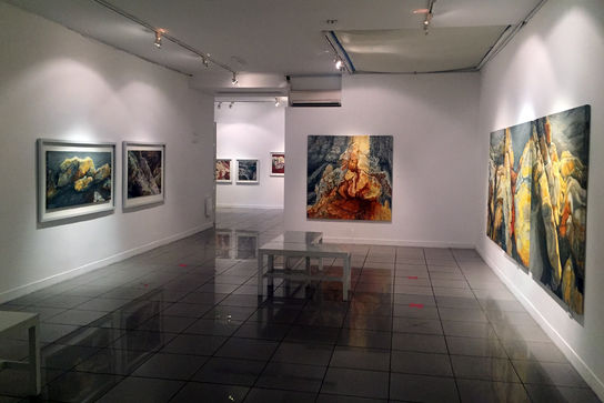 نمایشگاه نقاشی آتش شاه کرمی در گالری ویستا