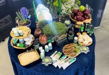 سبزهای وستا در شکوه هفت سین ۱۴۰۴