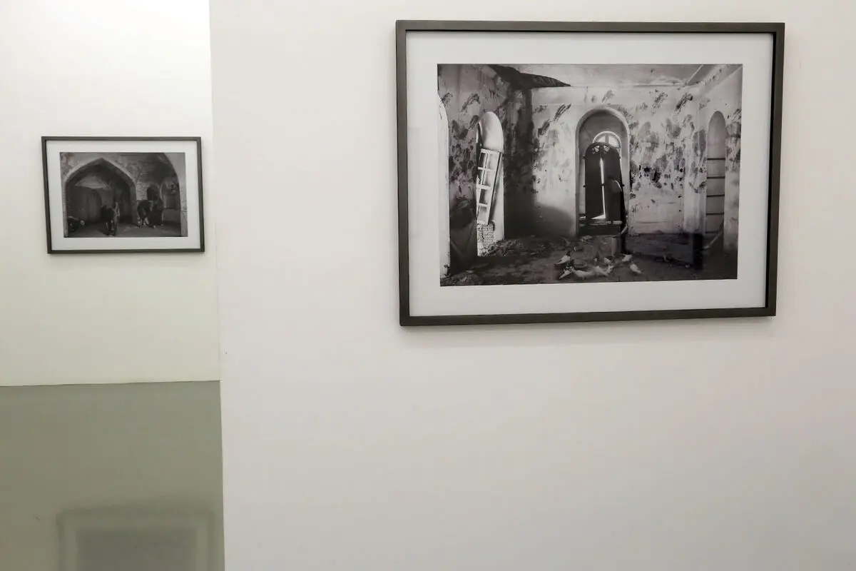 نمایشگاه عکس آرمین امیریان در گالری اعتماد باغ نگارستان