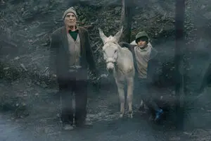 Iranian platform to stream “Cinema Donkey” 