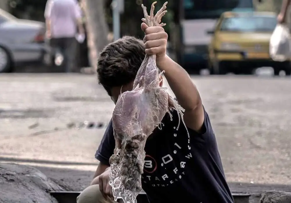 Hessam Hamidi named best director at Rio short festival 