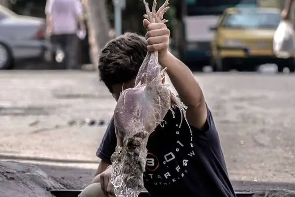 Hessam Hamidi named best director at Rio short festival 