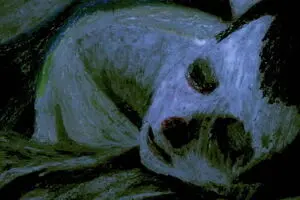 Iran’s “Crab” picked for Czech Anifilm festival