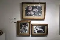 Seyhoun Gallery Hosts Group Art Exhibition