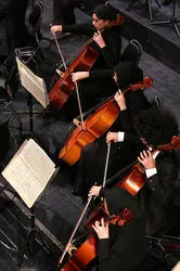 Tehran Symphony Orchestra