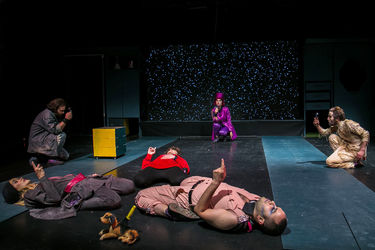 نمایش "ماجرای عجیب سگی در شب" در عمارت نوفل‌لوشاتو