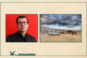 IIDCYA nominates Hamidreza Shahabadi, bookmobiles for ALMA 2022