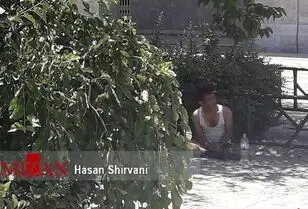 لحظه‌به‌لحظه با عکس‌ها،فیلم‌ها و خبرهای حادثه مجلس و حرم