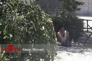 لحظه‌به‌لحظه با عکس‌ها،فیلم‌ها و خبرهای حادثه مجلس و حرم