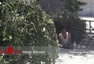 لحظه‌به‌لحظه با عکس‌ها،فیلم‌ها و خبرهای حادثه مجلس و حرم