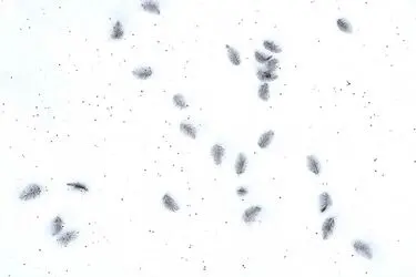 18-5-18-10454311