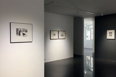 نمایشگاه آثار محمدرضا قربانی در گالری عصر