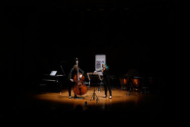 دومین فستیوال بین المللی موسیقی معاصر تهران/آنسامبل سپیا