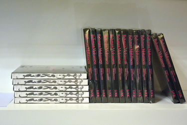 نمایشگاه آثار ایمان صفایی و رونمایی از کتاب بهمن محصص در گالری شیرین