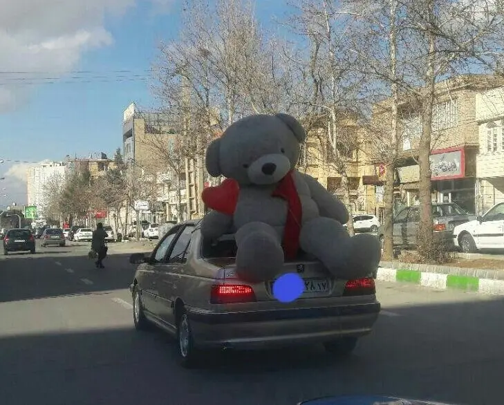 ولنتاینز دی ، نیروی انتظامی و ماجرای کراوات