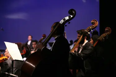 Tehran Symphony Orchestra