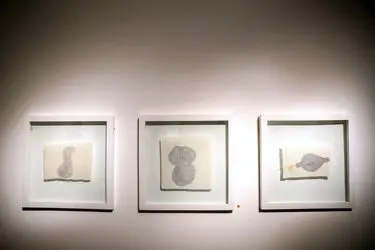 نمایشگاه نقاشی علی شایسته در گالری طراحان آزاد