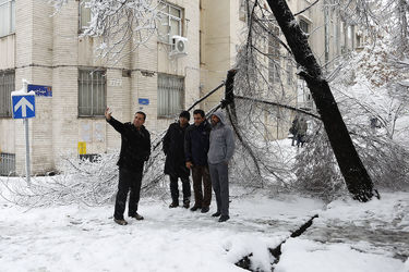 صبح برفی تهران