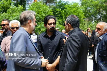 4524270_IMG_4529-photo