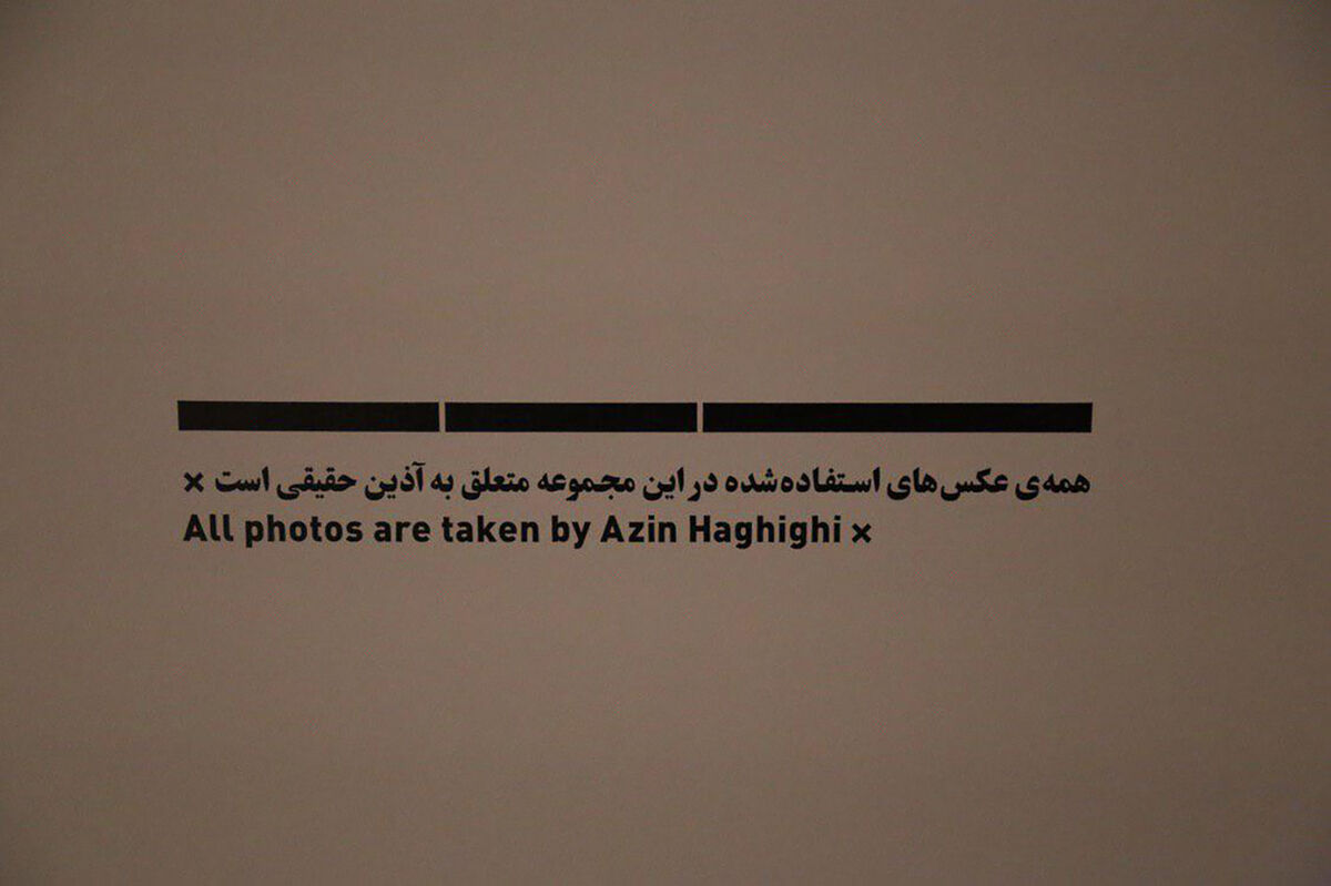 نمایشگاه نقاشی مجتبی امینی در گالری محسن