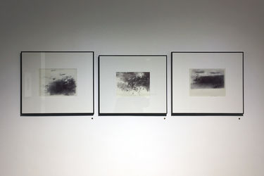 نمایشگاه آثار محمدرضا قربانی در گالری عصر