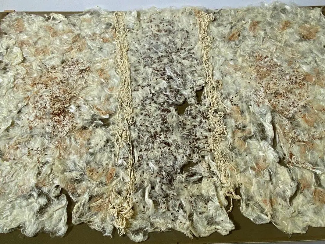 نمایشگاه جمال طیارا بارودی در استودیو تشکیل