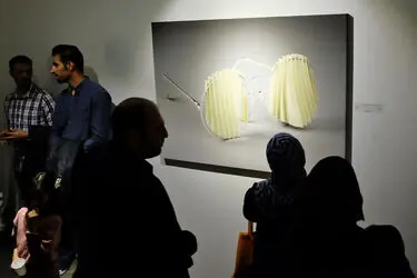 نمایشگاه آثار حمید عجمی در گالری شیرین