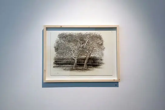 نمایشگاه آثار افسانه مسائلی در گالری اُ