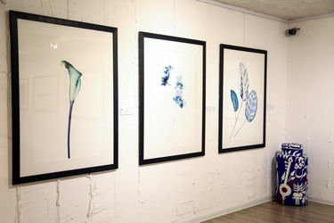 نمایشگاه عکس آرمان مولوی در گالری سیحون 2