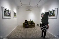 Hepta Gallery displaying decorative group painting