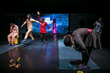 نمایش "ماجرای عجیب سگی در شب" در عمارت نوفل‌لوشاتو