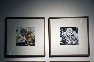 نمایشگاه نقاشی ساناز دزفولیان در گالری طراحان آزاد