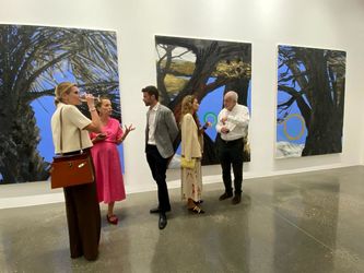 نمایشگاه نبیل نحاس در لاوری شبیبی / Nabil Nahas at Lawrie Shabibi