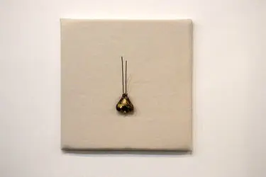 نمایشگاه آثار برگزیدگان جواهرسازی هنری معاصر در گالری آریا