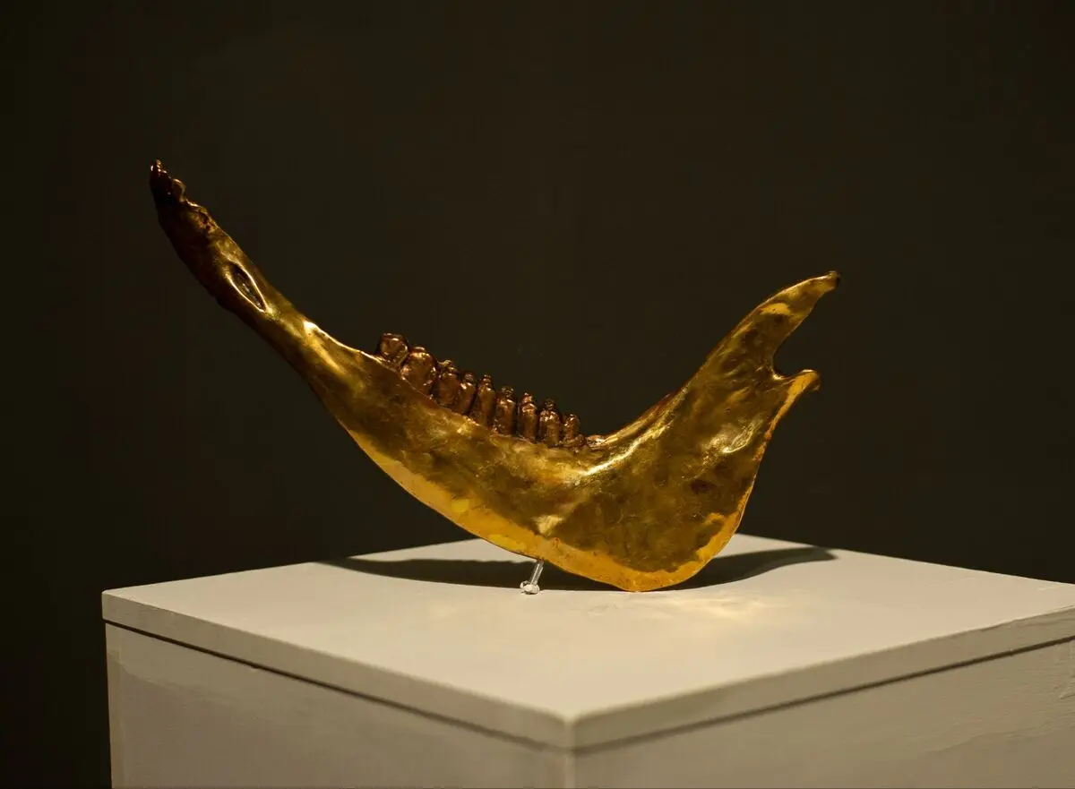 مازادها اثر کریم اله خانی در گالری بهار خانه هنرمندان