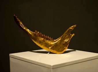 مازادها اثر کریم اله خانی در گالری بهار خانه هنرمندان