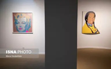 61952442_M_H17618
