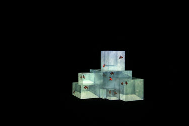 افتتاحیه دهمین جشنواره بین‌المللی تجسمی فجر در موسسه صبا فرهنگستان هنر