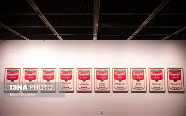 61952439_M_H17556