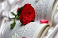 معرفی 4 رمان عاشقانه با قصه های جذاب که از خواندن آن ها لذت می برید