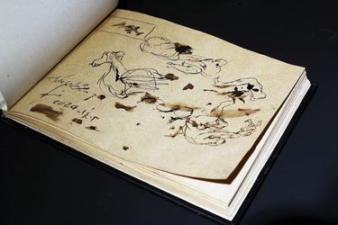 عظیم مرکباتچی با کانسپت کوراب در گالری مژده