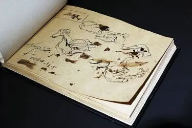 عظیم مرکباتچی با کانسپت کوراب در گالری مژده