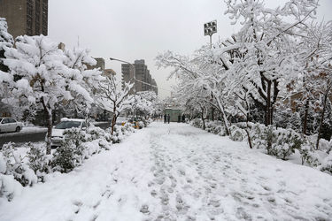 صبح برفی تهران